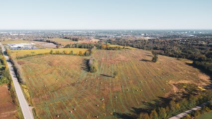 Woodland Properties